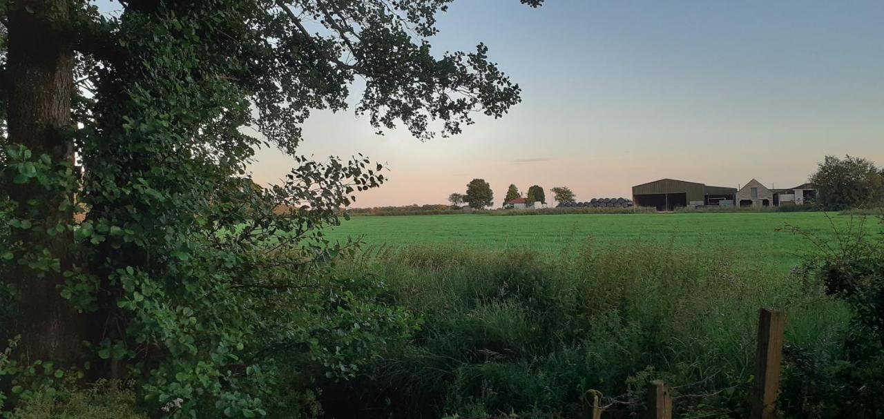 Muirfad Cottage Palnure Eksteriør billede